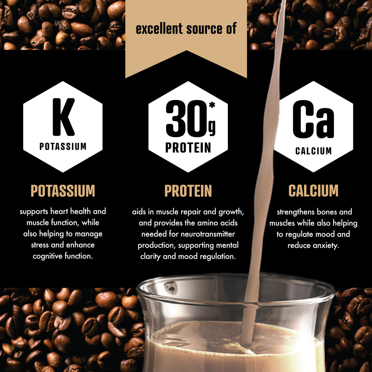NEW! Joyburst Protein Coffee Light Roast 12 Pack